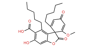 Picrolichenic acid